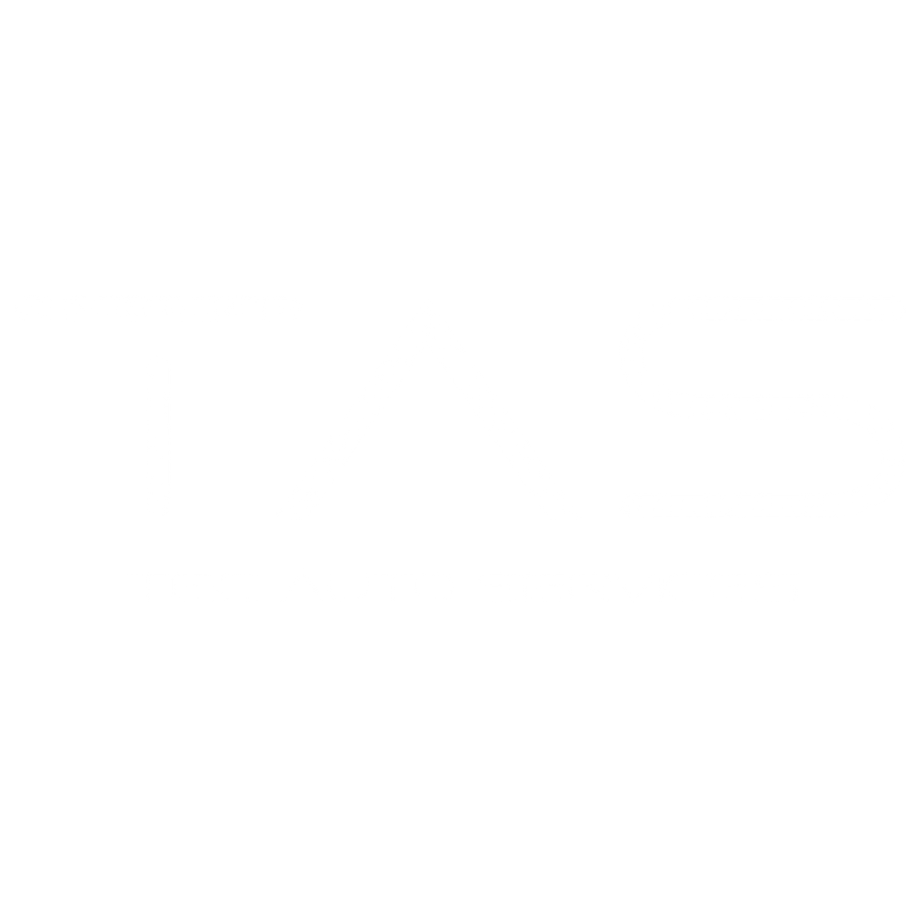 tecauto services logo in white font and transparent background